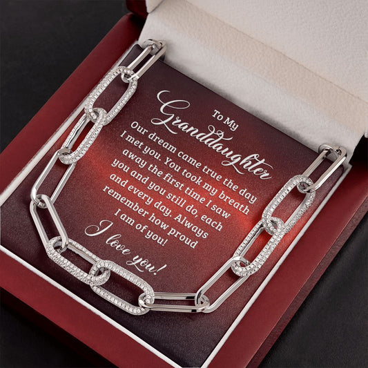 To My Granddaughter - Our Dream Came True the Day I Met You - Forever Linked Necklace